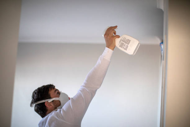 Best Commercial Mold Removal  in Garden Plain, KS