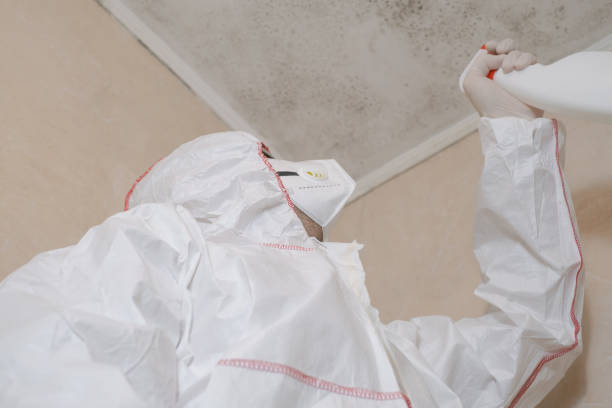 Best Attic Mold Removal  in Garden Plain, KS