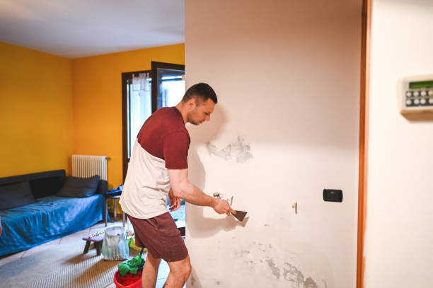 Best Commercial Mold Removal  in Garden Plain, KS