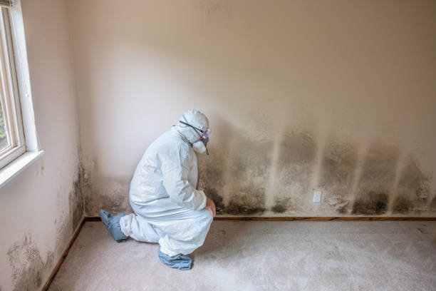 Best Emergency Mold Removal  in Garden Plain, KS