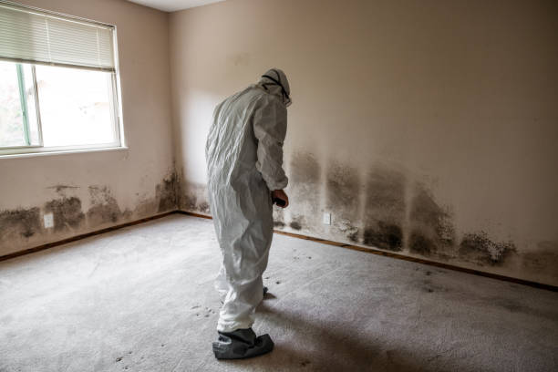 Best Mold Testing  in Garden Plain, KS